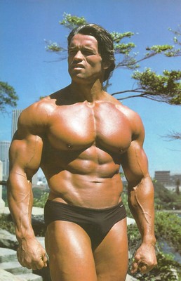 biography of Arnold Schwarzenegger