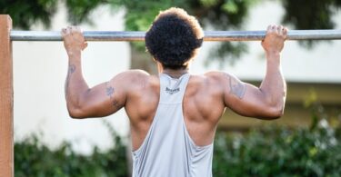 muscles that pull ups work