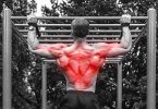 big chest small back
