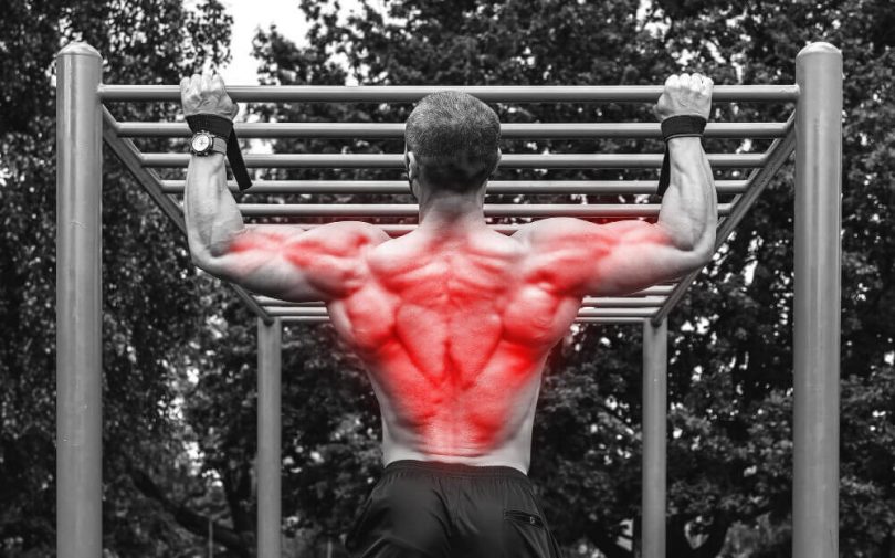 big chest small back