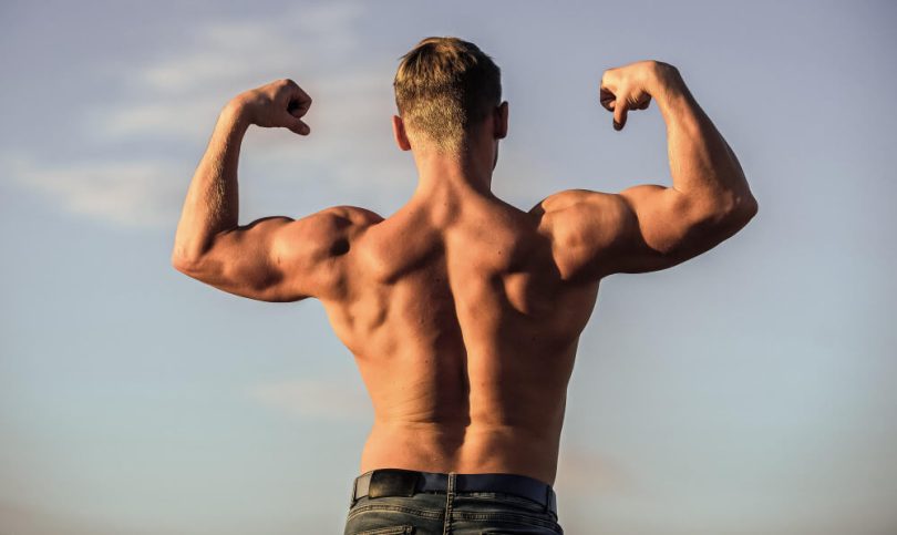 Is It Okay To Train Biceps Immediately After A Back Workout