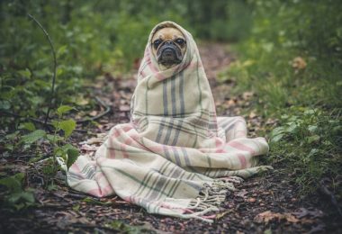 Why Do I Feel So Cold After a Workout